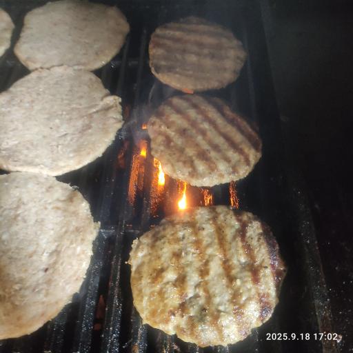 عکس فست فود زغالی آفتابگردان