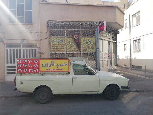 عکس قالیشویی نارون