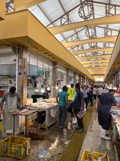 عکس بازار ماهی فروشان بوشهر
