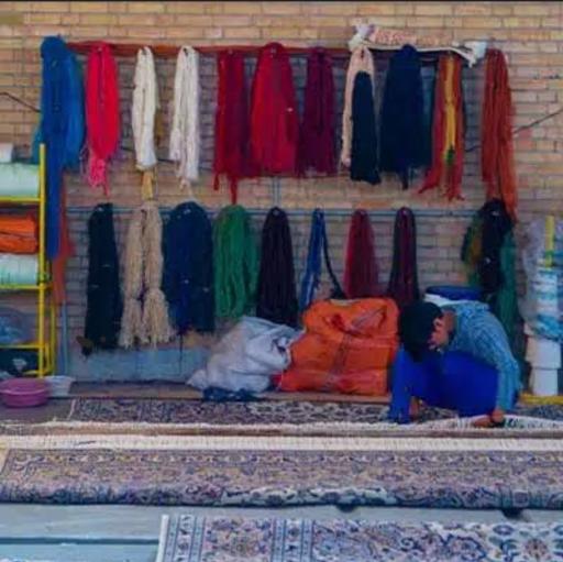 عکس قالیشویی نارون