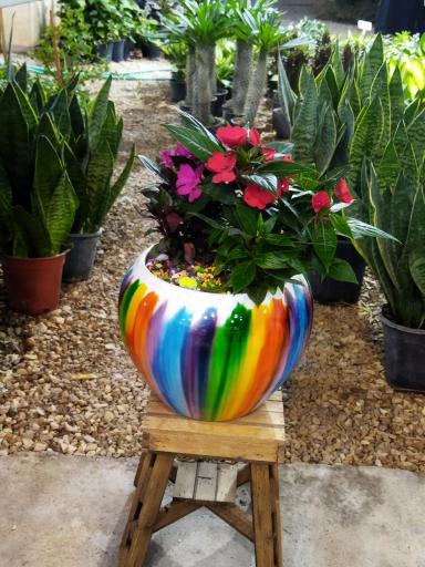 عکس گلباغ سروناز