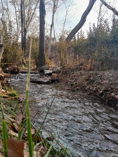 عکس پارک دخانیات