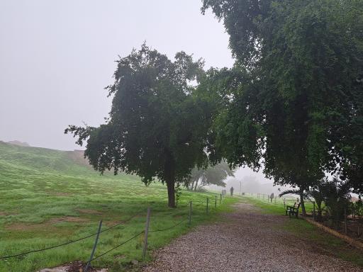 عکس سایت موزه قلعه سلاسل