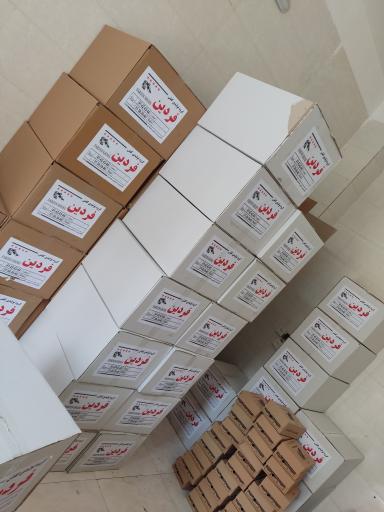 عکس کفش فردین