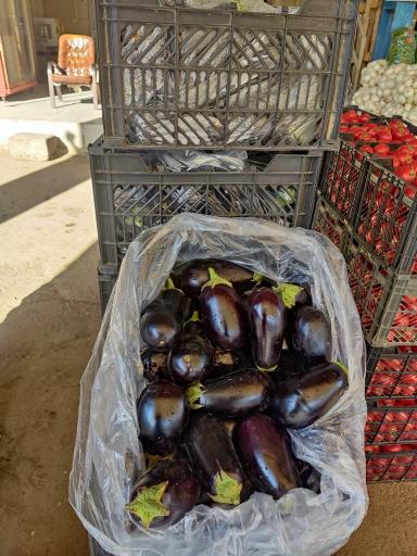 بارفروشی حاج‌علی کاظم‌زاده