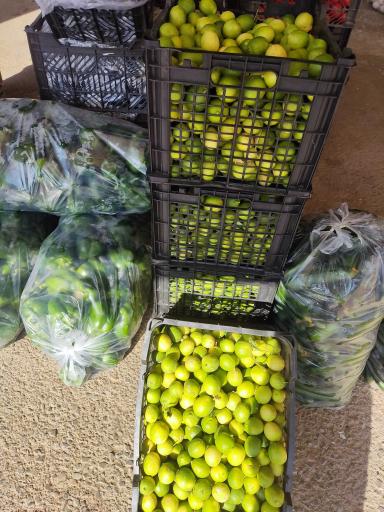 عکس بارفروشی حاج‌علی کاظم‌زاده