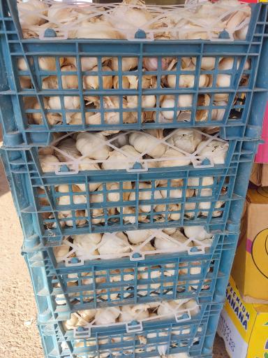 عکس بارفروشی حاج‌علی کاظم‌زاده