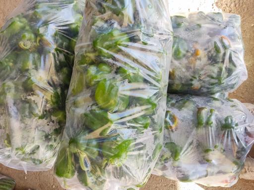 عکس بارفروشی حاج‌علی کاظم‌زاده