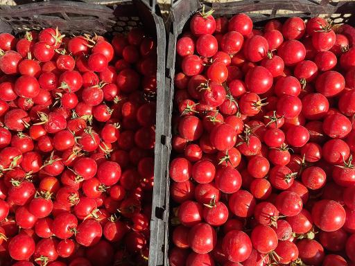 بارفروشی حاج‌علی کاظم‌زاده