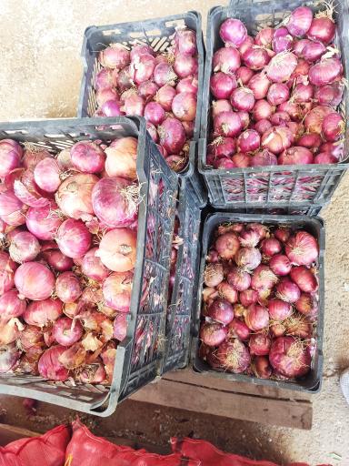 بارفروشی حاج‌علی کاظم‌زاده