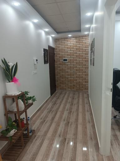 عکس مدرسه غواصی جزیره سفید آرامش