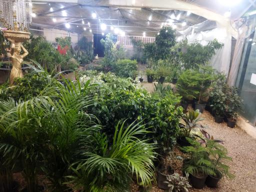 عکس گلباغ سروناز