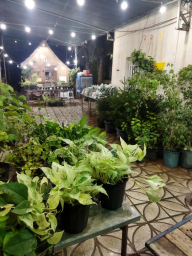 عکس گلباغ سروناز