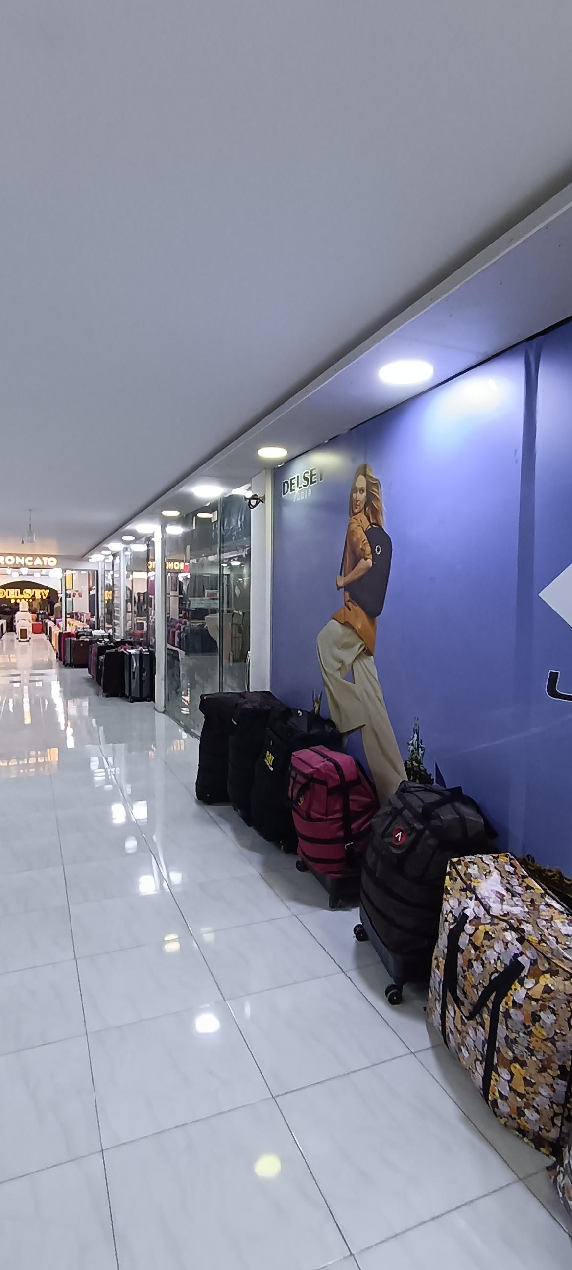 عکس کیف و چمدان دلسی