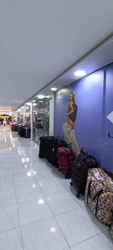 عکس کیف و چمدان دلسی