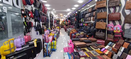 عکس کیف و چمدان دلسی