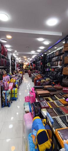 عکس کیف و چمدان دلسی