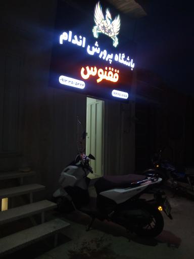 عکس باشگاه پرورش اندام ققنوس 