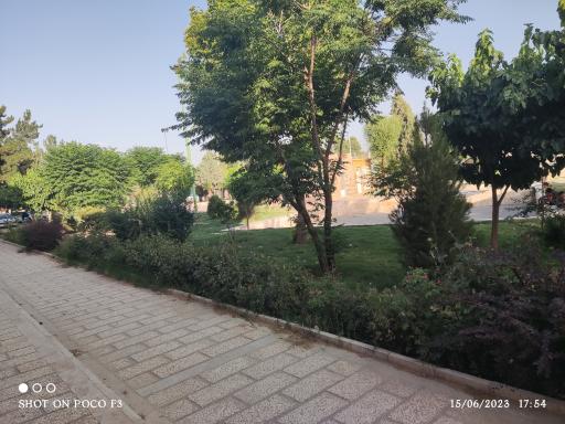 عکس بوستان شاهد امیریه 