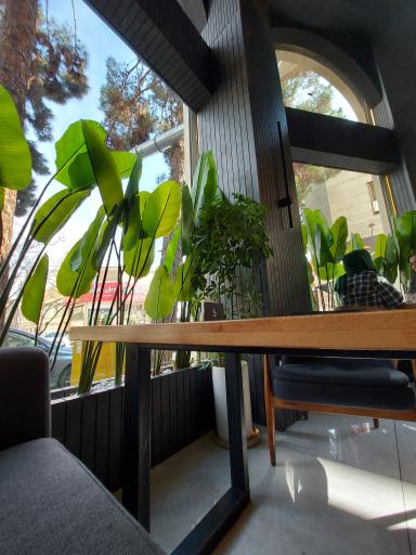 عکس امیر کافه