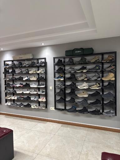 عکس هامتولند