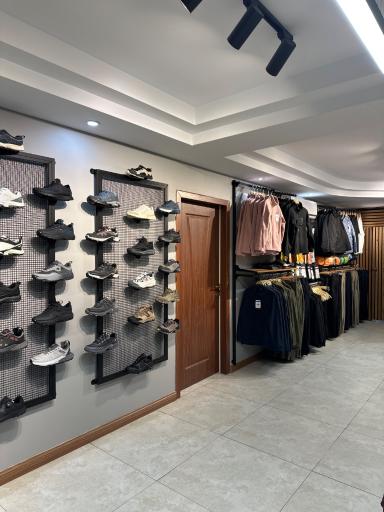 عکس هامتولند