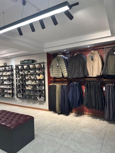 عکس هامتولند