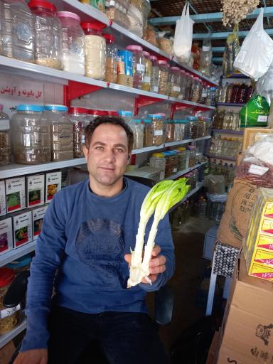 عکس عطاری یحیی 