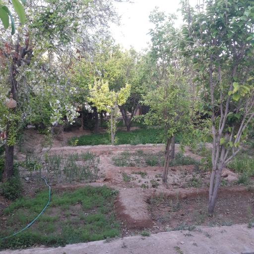 عکس اقامتگاه بومگردی سرای جهانگرد