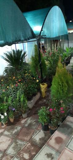 عکس گل فروشی پری ها