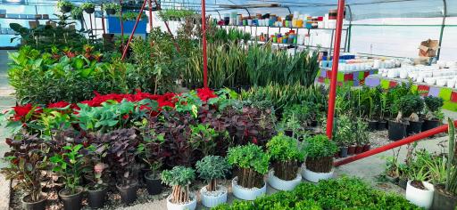 عکس گل فروشی پری ها