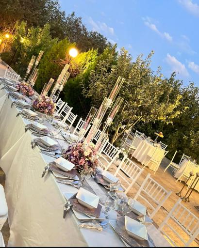 عکس کرایه میز و صندلی الماس