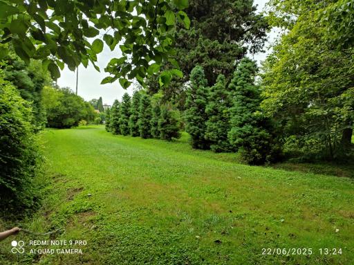 عکس باغ گیاه شناسی