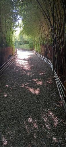 عکس باغ گیاه شناسی