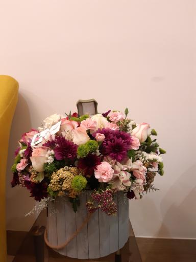 عکس قصر گل مهدی