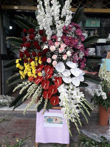 عکس قصر گل مهدی