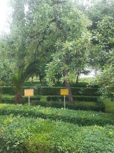 عکس باغ گیاه شناسی