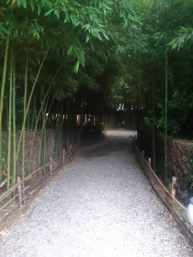 عکس باغ گیاه شناسی