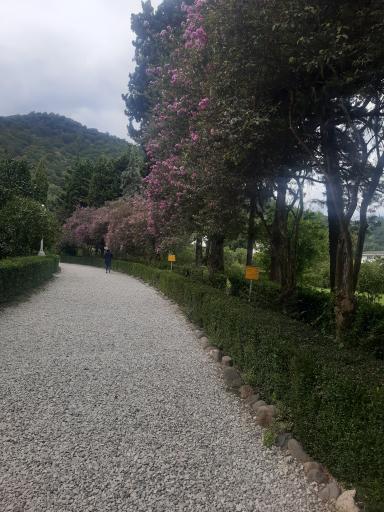 عکس باغ گیاه شناسی