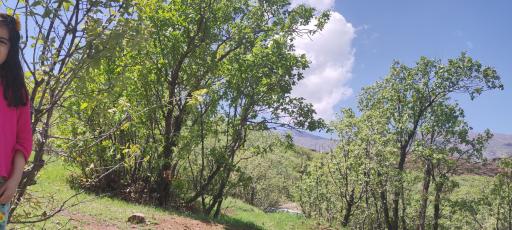 عکس پارک مخمل کوه