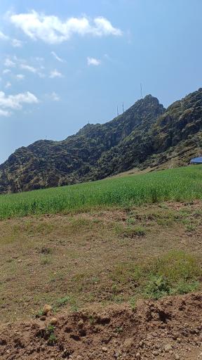 عکس پارک مخمل کوه