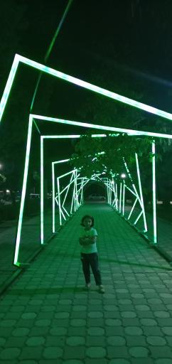 عکس پارک شب