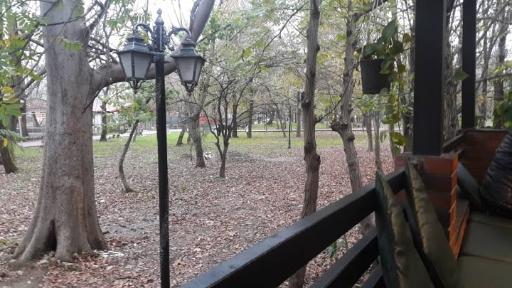 عکس کافه کتاب سایه