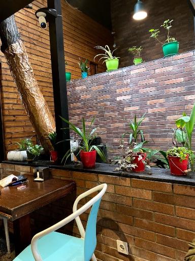 عکس کافه کتاب سایه