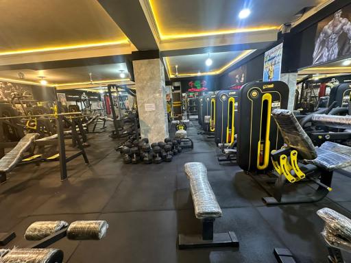 باشگاه بدنسازی سورنا