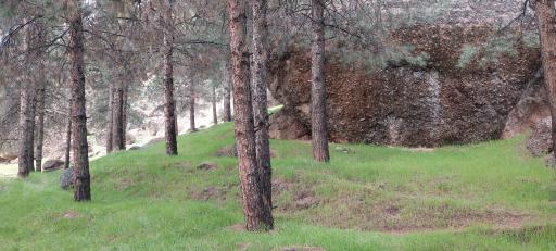 عکس پارک مخمل کوه