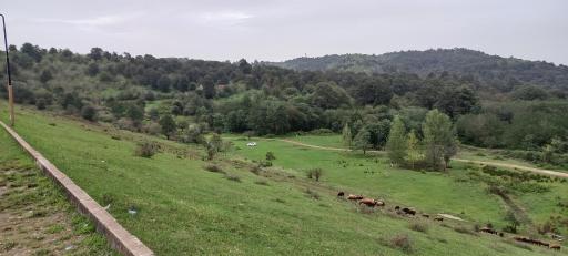 عکس دریاچه سد شیاده