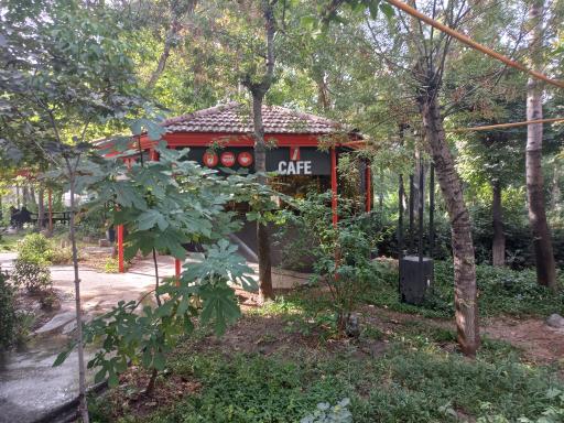 عکس محل مطالعه دانشجویان بیمارستان شریعتی