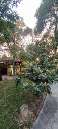 عکس محل مطالعه دانشجویان بیمارستان شریعتی