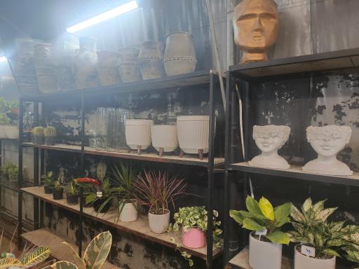 عکس گل و گیاه عطر برگ